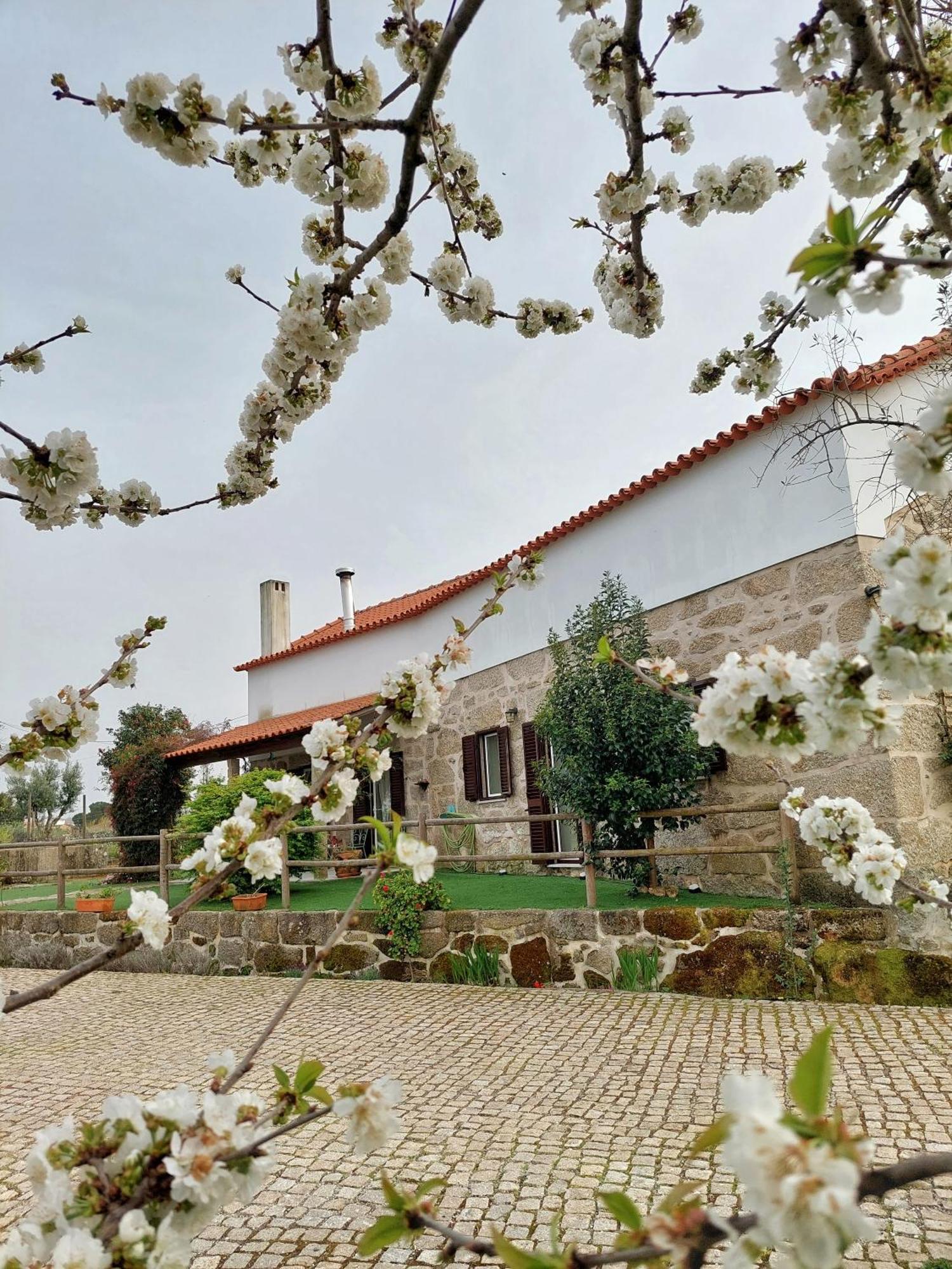 A Casa Do Soito Villa Oliveira do Hospital Eksteriør billede